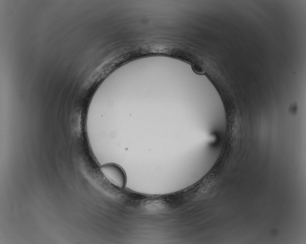 X0000116560262200912311938