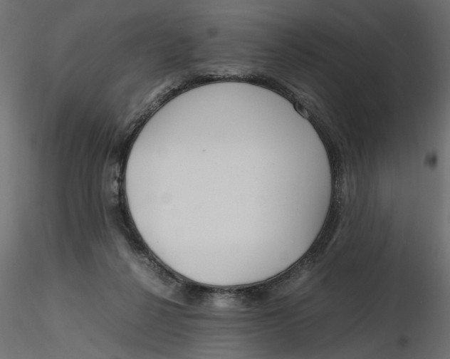 X0000116560264200912311938