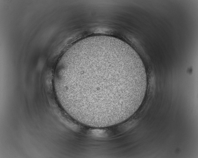 X0000116560265200912311939