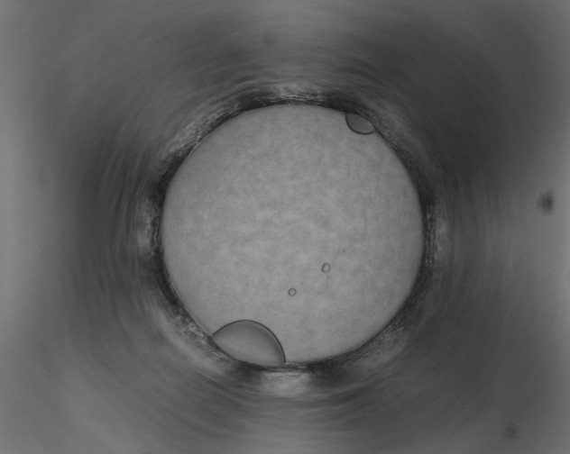 X0000116560266200912311939