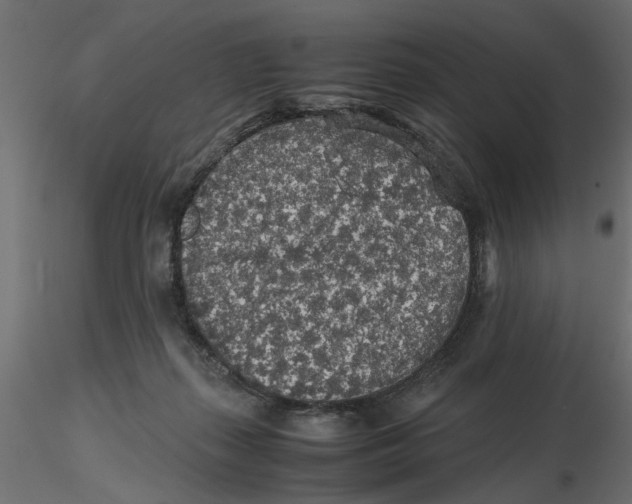 X0000116560267200912311939