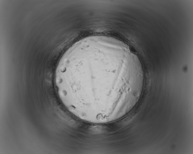 X0000116560269200912311939