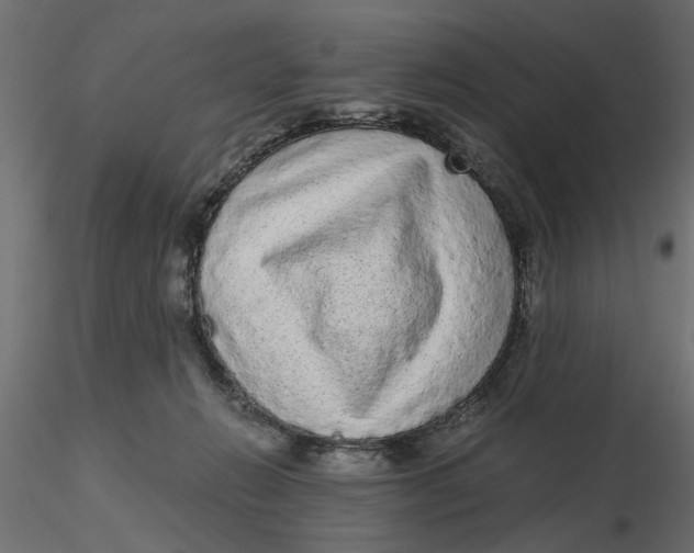 X0000116560270200912311939