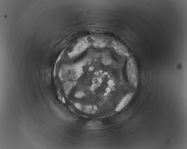 X0000116560271200912311939