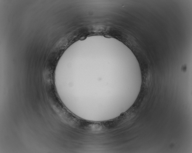 X0000116560272200912311939