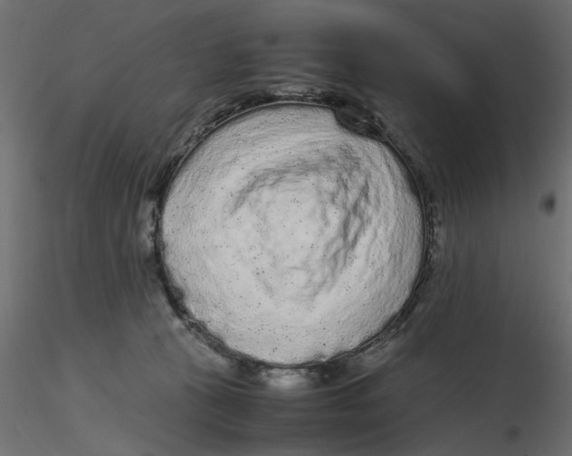 X0000116560273200912311939