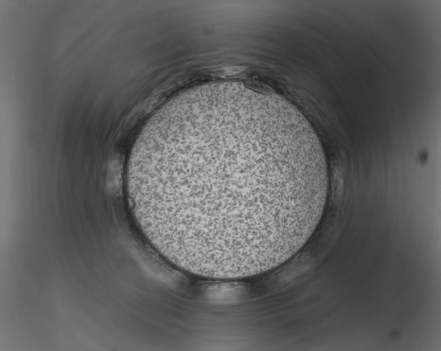 X0000116560274200912311939