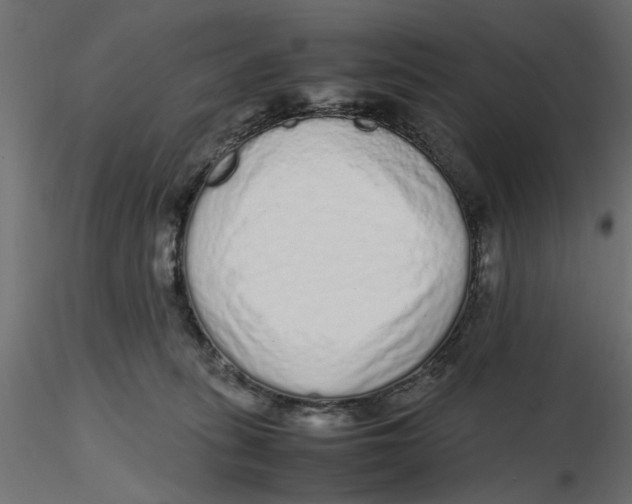 X0000116560275200912311939