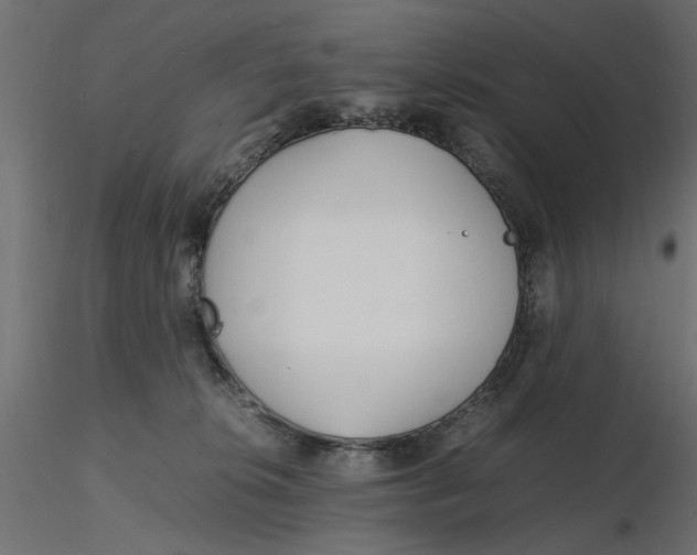 X0000116560276200912311939