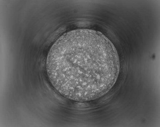 X0000116560277200912311939