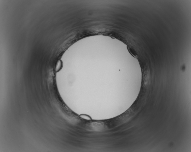 X0000116560279200912311939