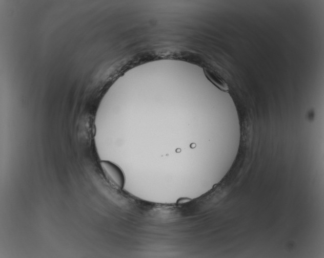 X0000116560280200912311939