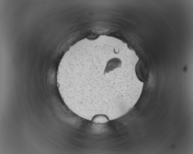 X0000116560283200912311939