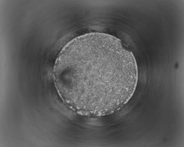 X0000116560285200912311939