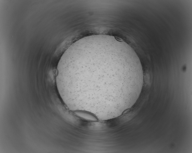 X0000116560286200912311939