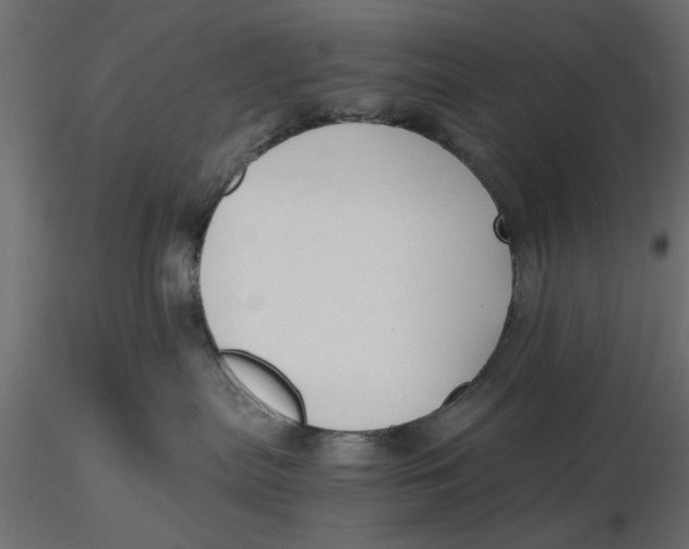 X0000116560287200912311939