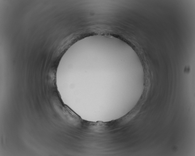 X0000116560288200912311939