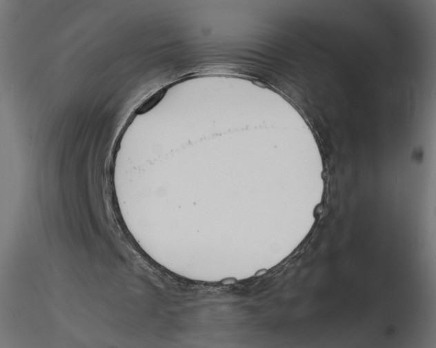 X0000116560289200912311938