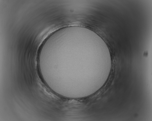 X0000116560290200912311938