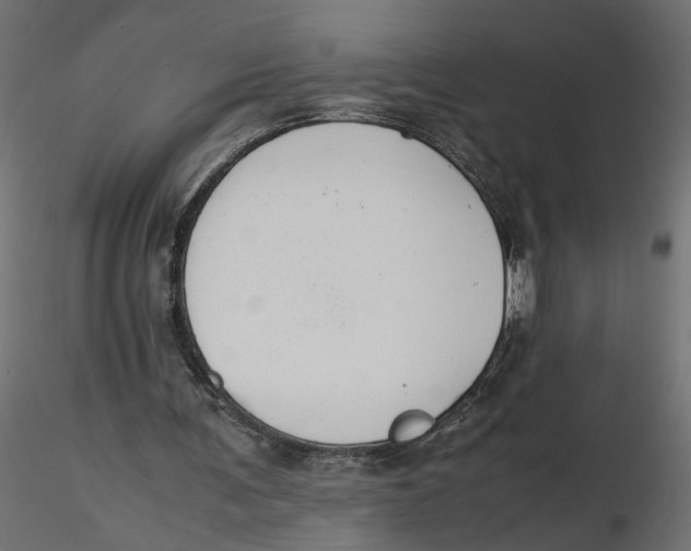 X0000116560291200912311938