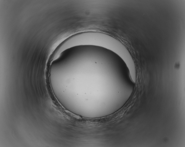 X0000116560292200912311938