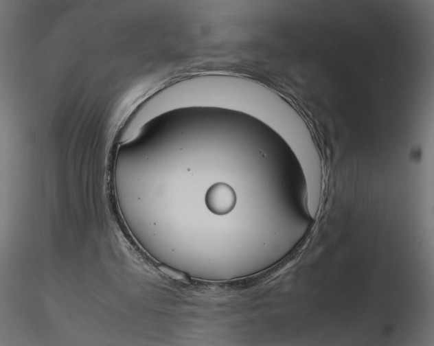 X0000116560293200912311938