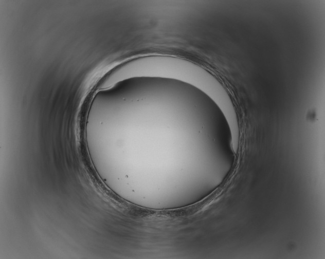 X0000116560294200912311938