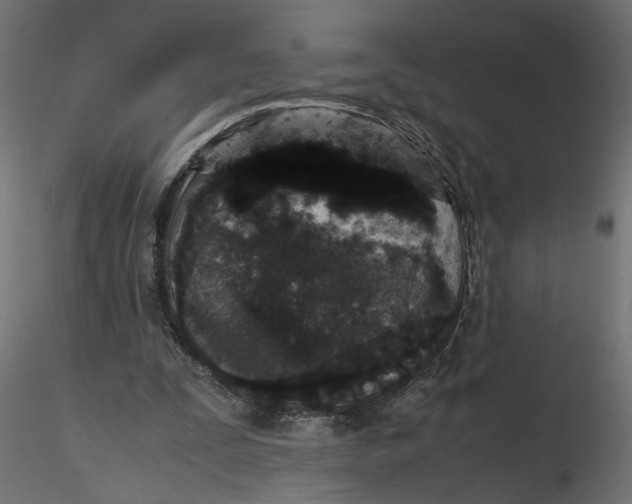 X0000116560295200912311938