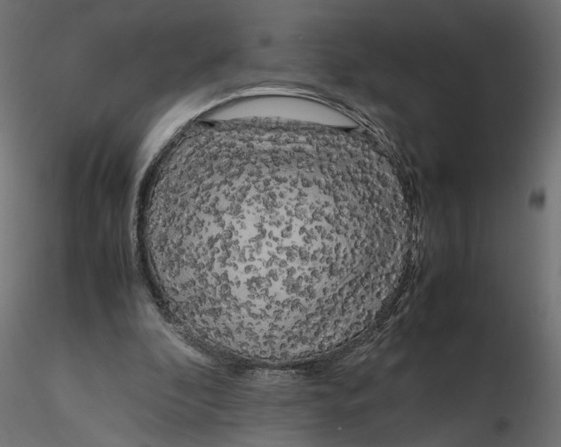 X0000116560296200912311938