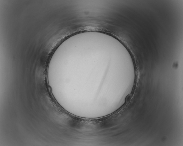 X0000116560297200912311938