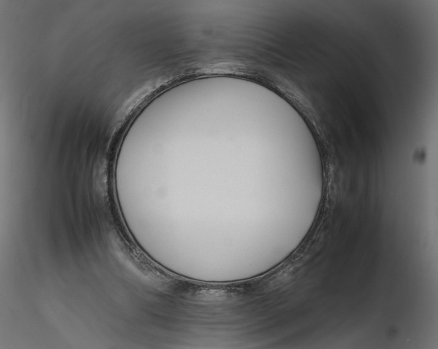 X0000116560298200912311938