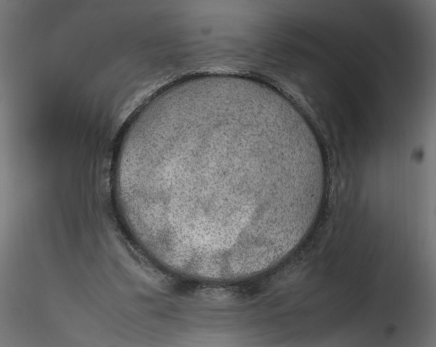 X0000116560299200912311938