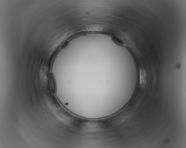 X0000116560300200912311938