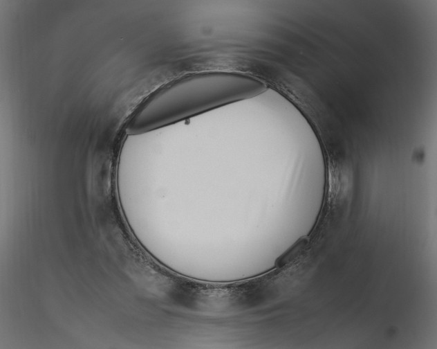 X0000116560301200912311938