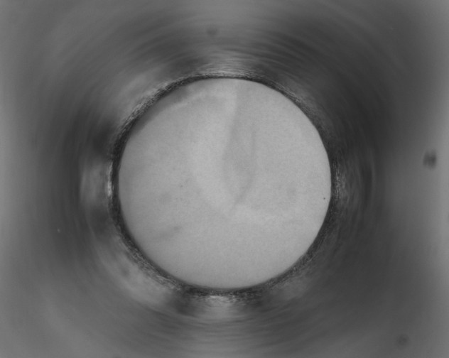 X0000116560302200912311938