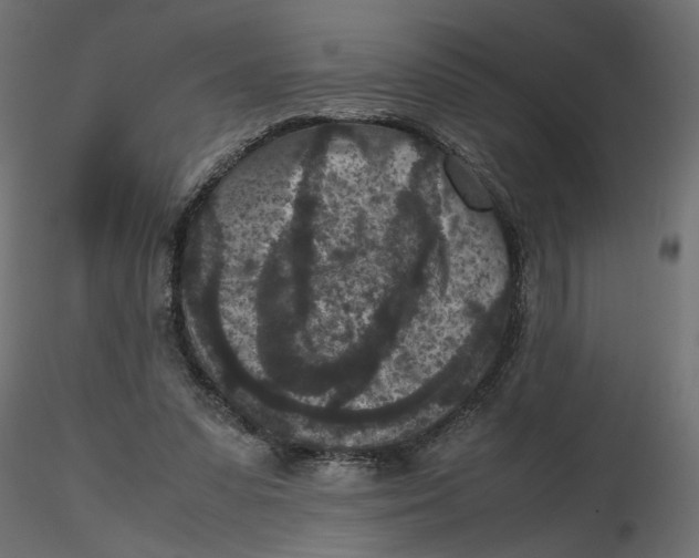 X0000116560303200912311938