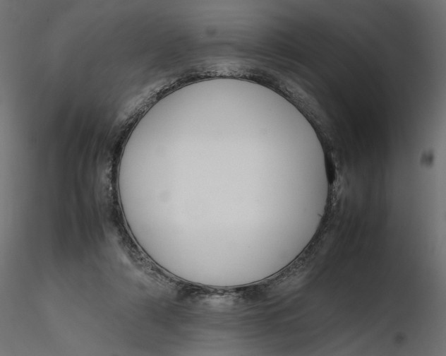 X0000116560306200912311938