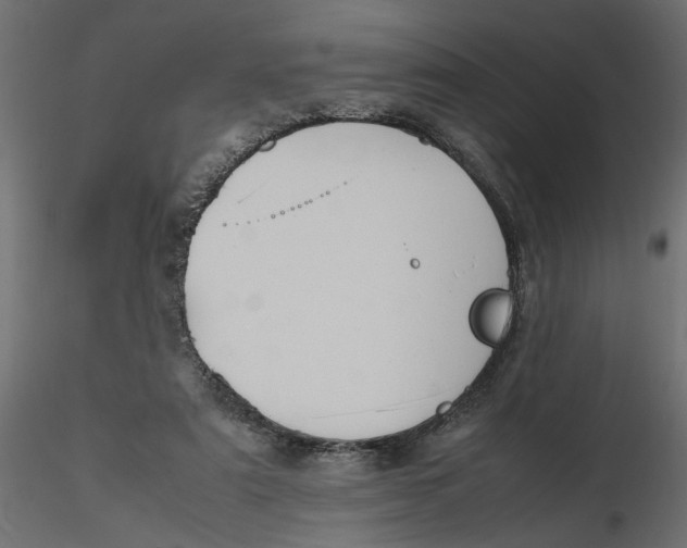 X0000116560307200912311938