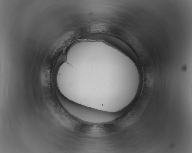 X0000116560308200912311938