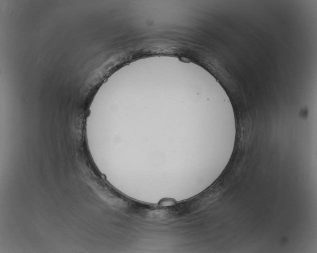 X0000116560309200912311938