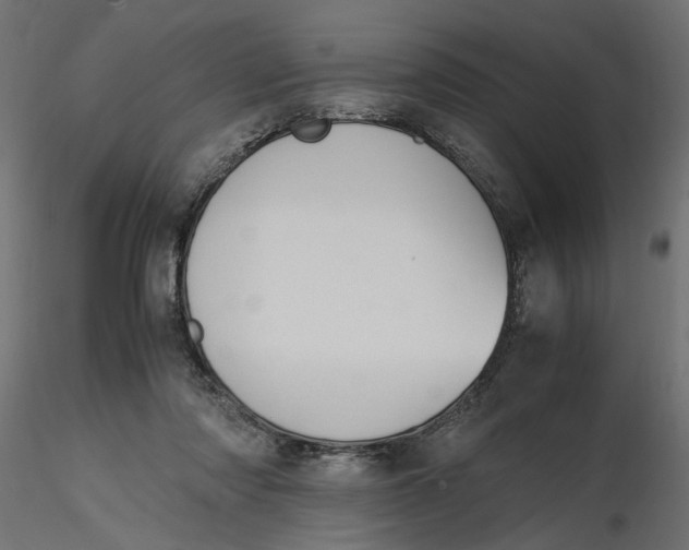 X0000116560310200912311938