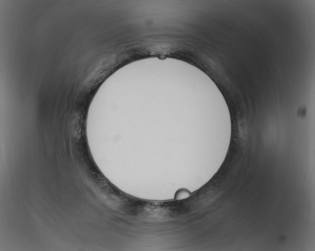 X0000116560311200912311938