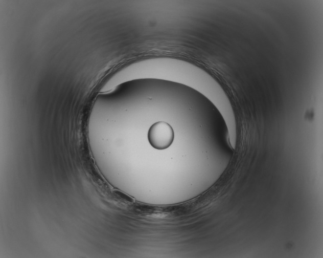 X0000116560312200912311938