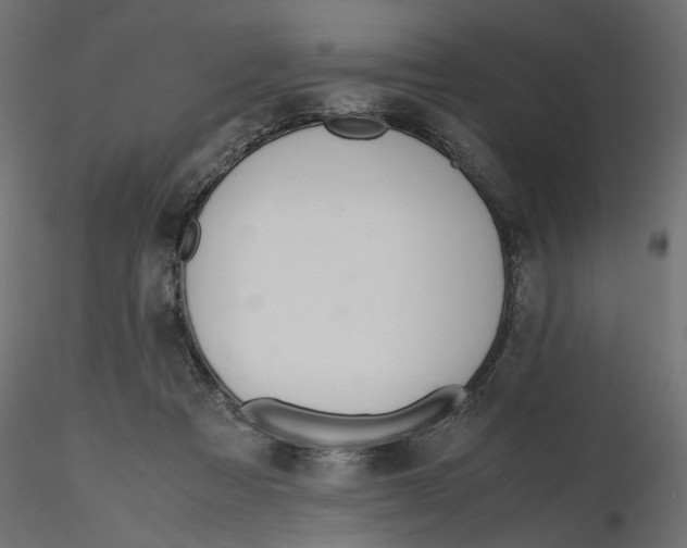 X0000116560313200912311938