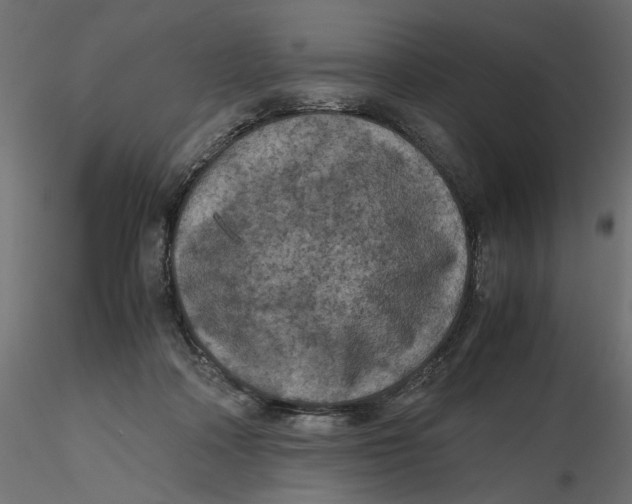 X0000116560314200912311938