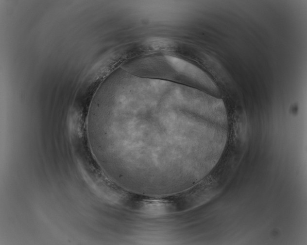 X0000116560316200912311938