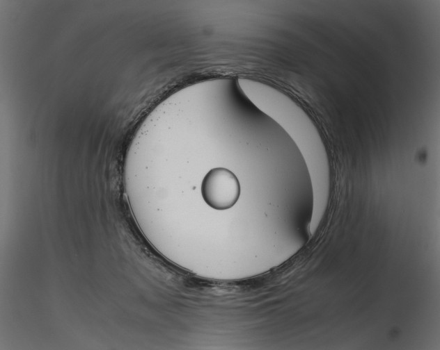 X0000116560317200912311938