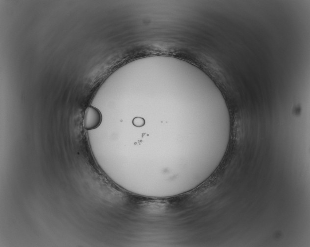 X0000116560318200912311938