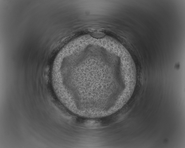 X0000116560319200912311938