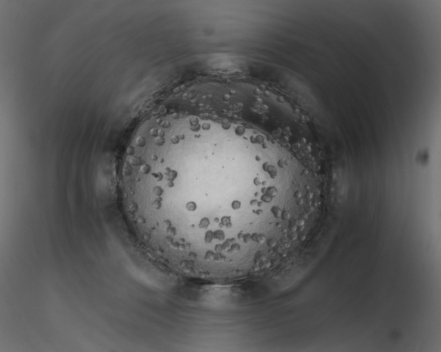 X0000116560320200912311938